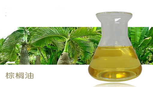 棕櫚油進口報關(guān)