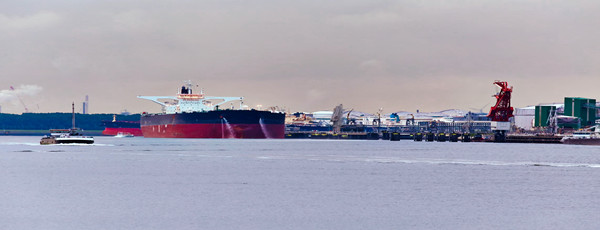 堅(jiān)果進(jìn)口報(bào)關(guān)代理