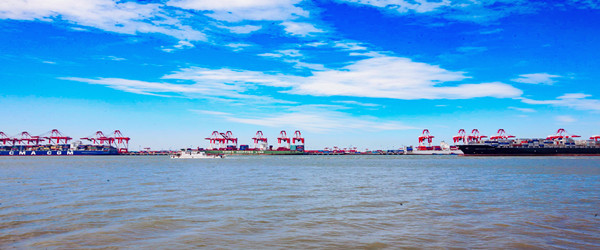 莫桑比克海鮮進(jìn)口報關(guān)