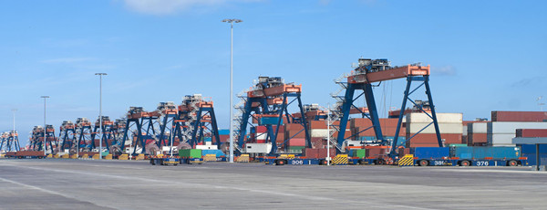 羊肉進口清關(guān)代理