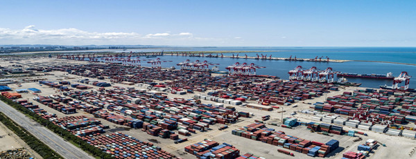 冷凍魚港口報(bào)關(guān)代理