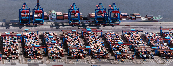 西紅柿進口報關(guān)