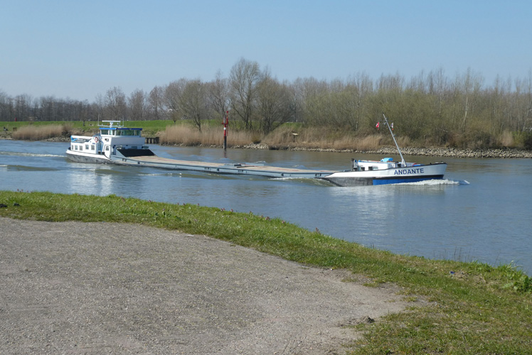 堅果進口到上海報關流程 堅果進口到上海報關流程