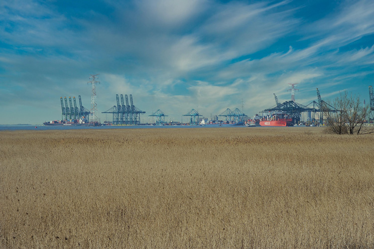 陜西一般貿易進出口