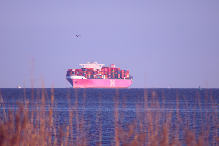 北侖進口鎂礦報關資質