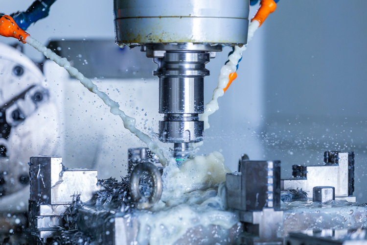 寧波貓糧進口報關行 寧波貓糧進口報關行