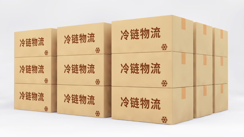 寧波進口冷凍蝦報關行