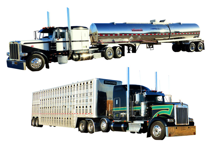 樣品汽車的報(bào)關(guān)進(jìn)口 樣品汽車的報(bào)關(guān)進(jìn)口