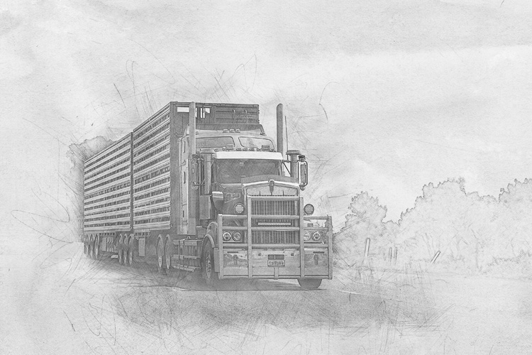 一般貿(mào)易進出口的特征