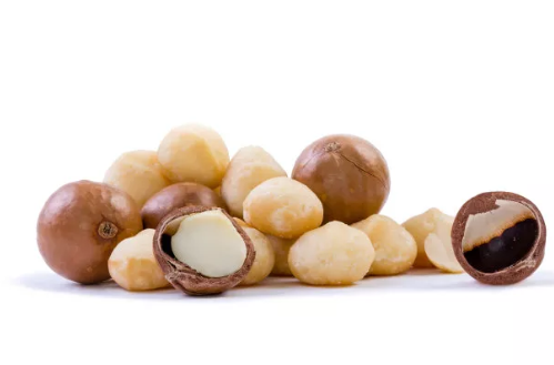 夏威夷果進(jìn)口報關(guān)