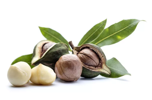 夏威夷果進(jìn)口報關(guān)