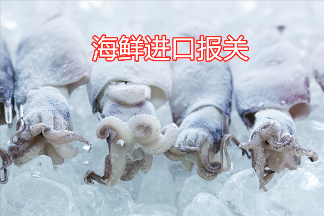 海鮮進(jìn)口報關(guān)