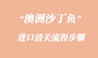 澳洲沙丁魚進口清關的操作流程